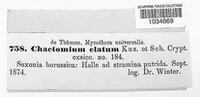 Chaetomium elatum image